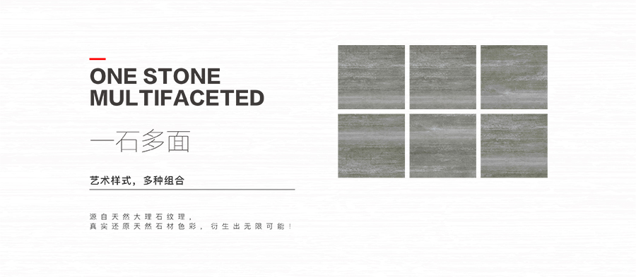 雅柏麗大地磚 柏麗壹號(hào)瓷磚 大地磚十大品牌 巴拿馬 DT60SN1653