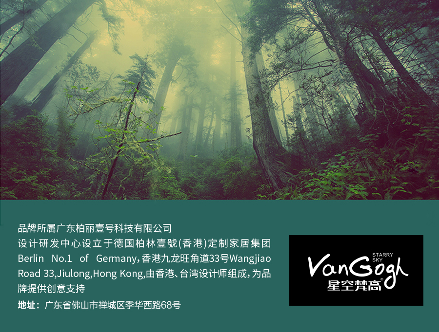 星空梵高 現(xiàn)代簡約雙人床實(shí)木床 荷蘭晨風(fēng) TB-109#床